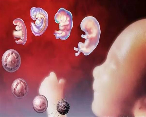 同性恋群体赴美IVF成趋势，在代孕之前你需要了解这些
