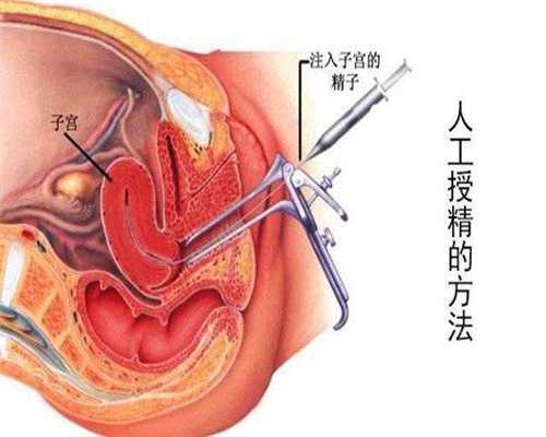 靠谱助孕网-中国无偿代怀孕合法吗